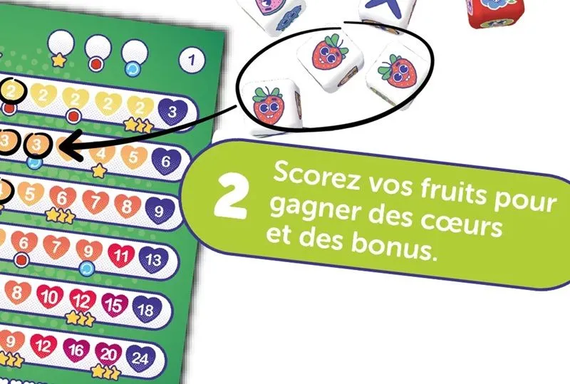 miams - règles-2