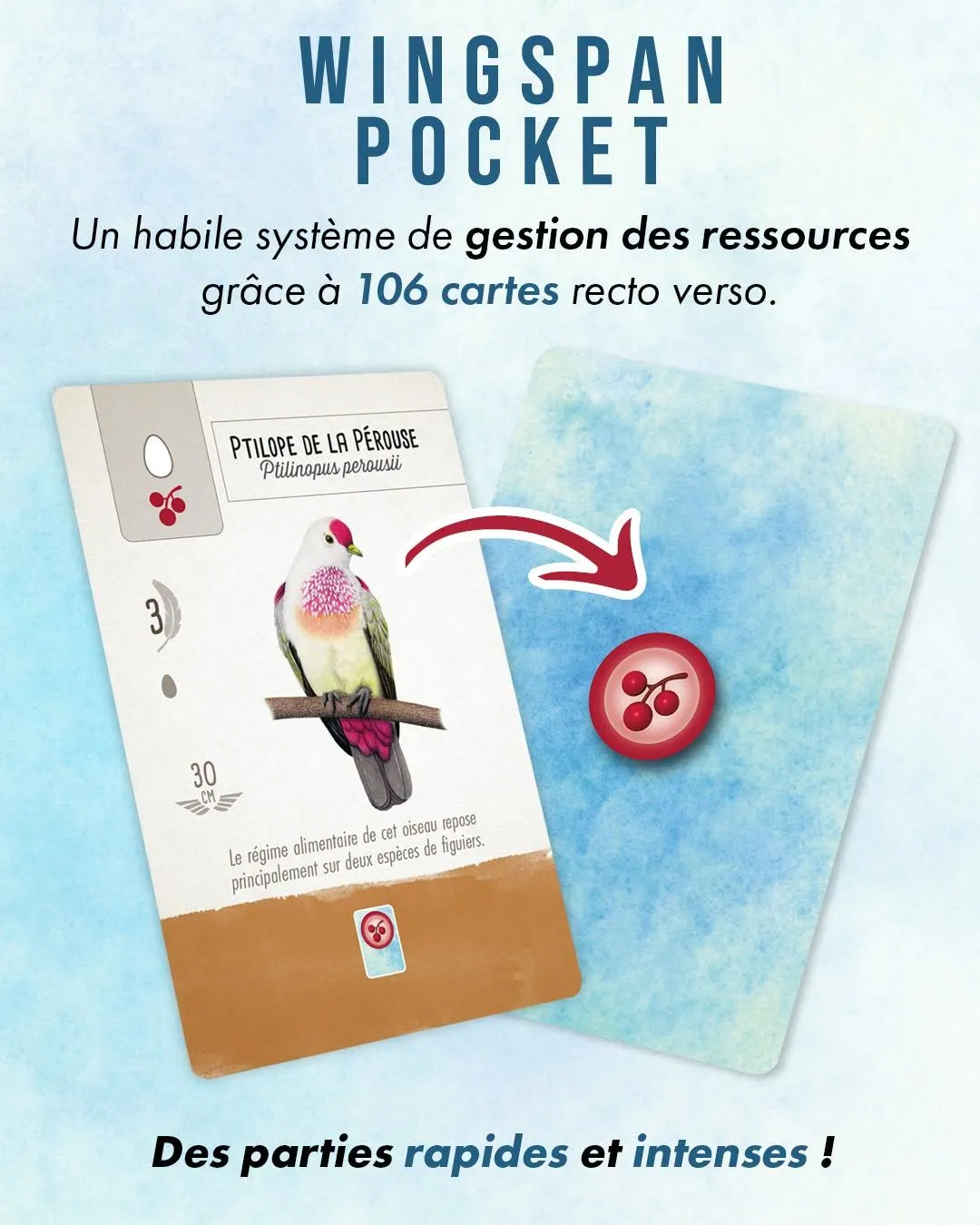 wingspan pocket - rules 2